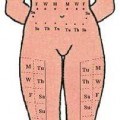 injection sites