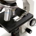 microscope
