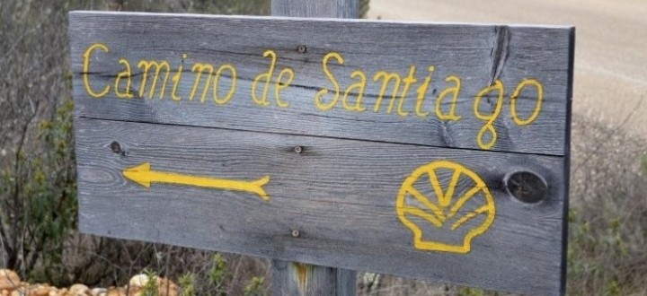 caminoMAIN