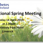 Spring Meeting 2013