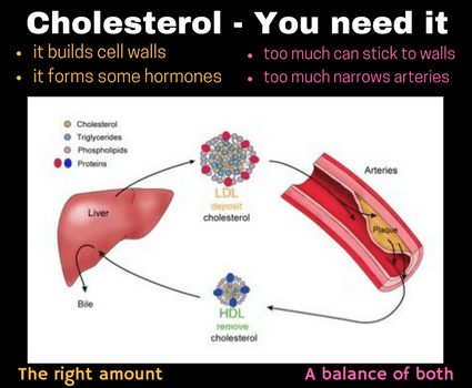 Cholesterol 4