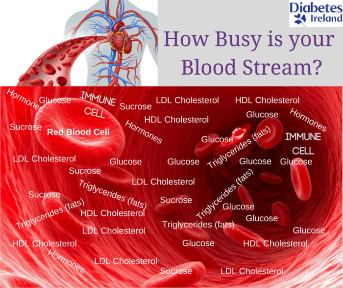 How Busy is your blood Stream-