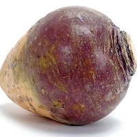 smaller turnip